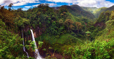 El Yunque Rainforest